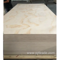 Film Faced Plywood Poplar Core